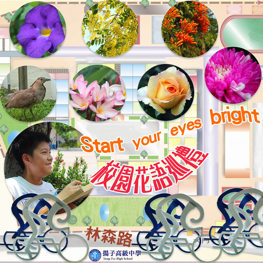 校園花語巡禮
