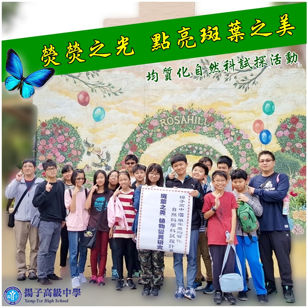 熒熒之光 點亮斑葉之美-均質化自然科試探活動